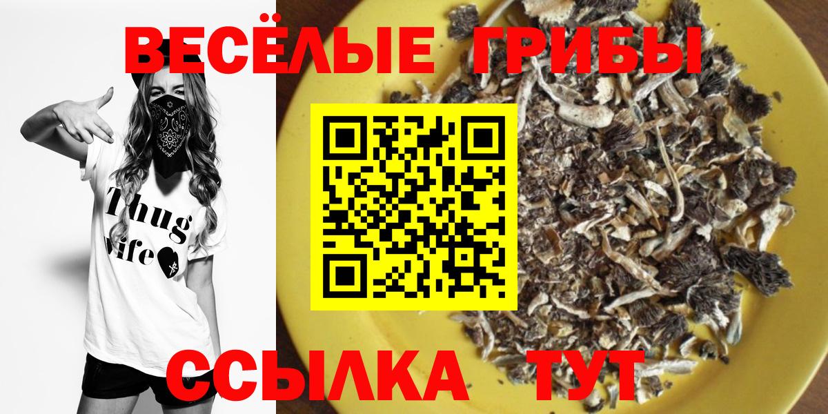 Псилоцибиновые грибы Psilocybine cubensis  Галлюциногенные грибы мухоморы  Вход с VPN  где продают   Строитель 